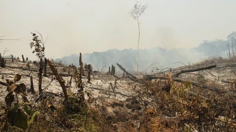 Peat fire in Indonesia. The fires are below the surface where the peat smoulders. 