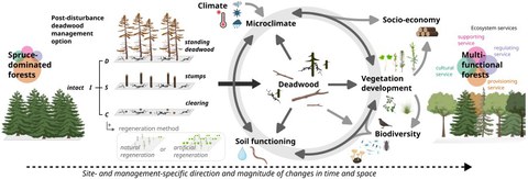 Ecological Response Framework