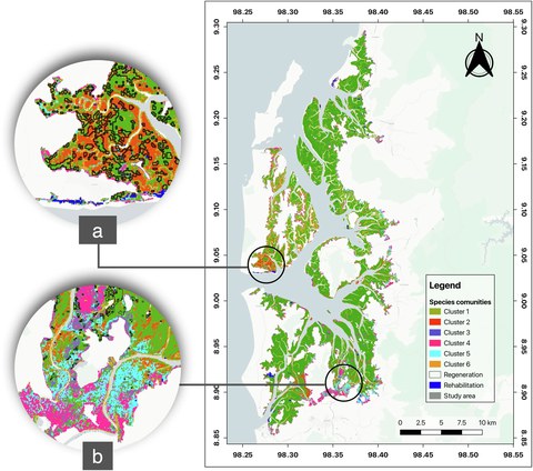 Spatiotemporal Dynamics of Mangrove Forests in Thailand