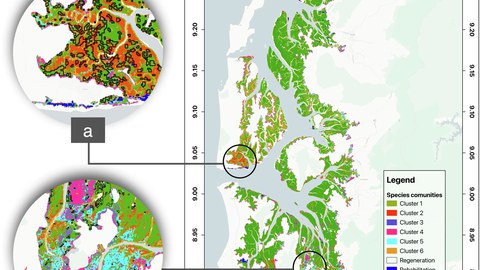 Spatiotemporal Dynamics of Mangrove Forests in Thailand
