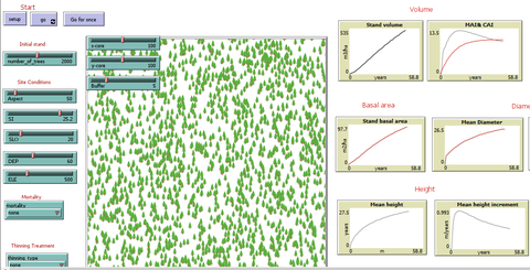 NetLogo interface of the Pinus Brutia IBM