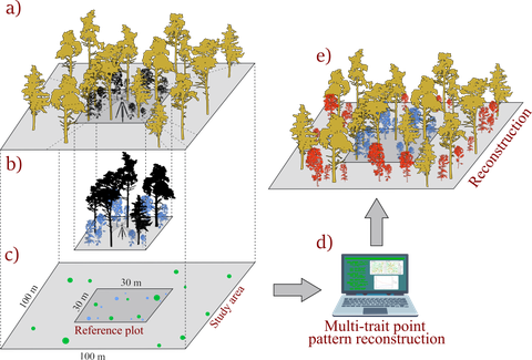 Schema für ein neues Verfahren zur Vorhersage der Waldverjüngung