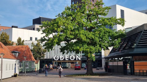 conference venue