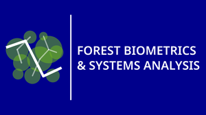 Logo des Lehrstuhls für Forstliche Biometrie und Systemanalyse