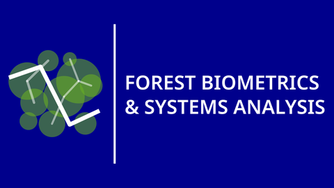 Logo des Lehrstuhls für Forstliche Biometrie und Systemanalyse
