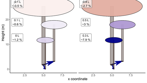 Exemplarische Darstellung einer über Wurzelverwachsungen verbundenen Modellbaum-Gruppe