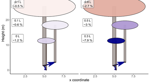 Exemplary representation of a group of model trees connected by root grafts