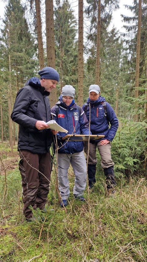 Erkundung Seifenrelikts Auersberg