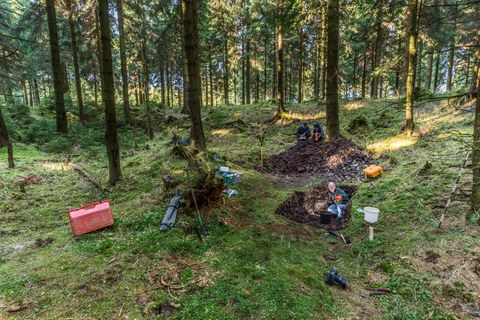 Fieldwork near Schellerhau
