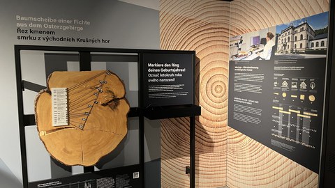 Exhibition Zinn & Sein