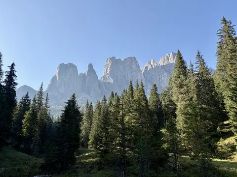 Geislerspitzen sind hinter Nadelbäumen zu sehen, es ist sonnig.