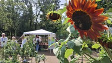 Sommerfest_2024
