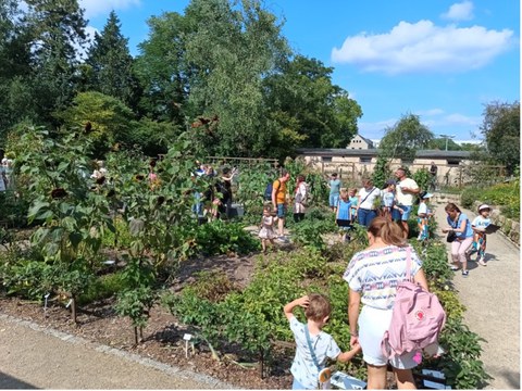 Sommerfest im Botanischen Garten in Dresden 2025