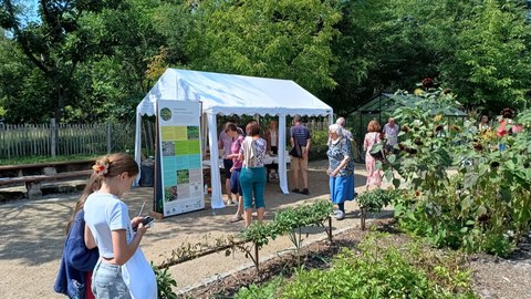 Sommerfest im Botanischen Garten in Dresden 2025