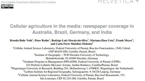 Rothe et al.