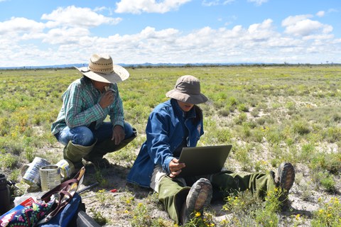 Field work
