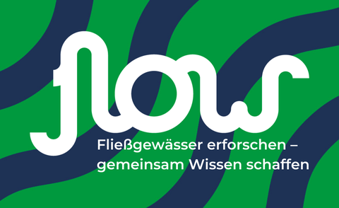 FLOW-Projekt Logo bunt