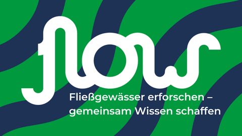 FLOW-Projekt Logo bunt
