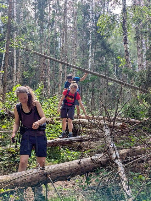 Der Wanderweg führt durch unwegsames Gelände mit umgestürzten Bäumen