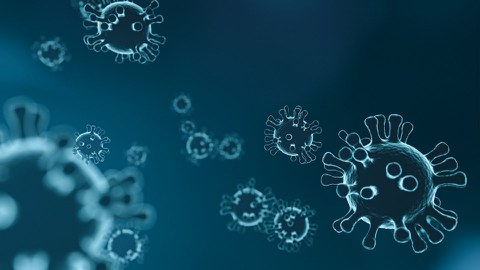 Ein Virus ist unter dem Mikroskop zu sehen.