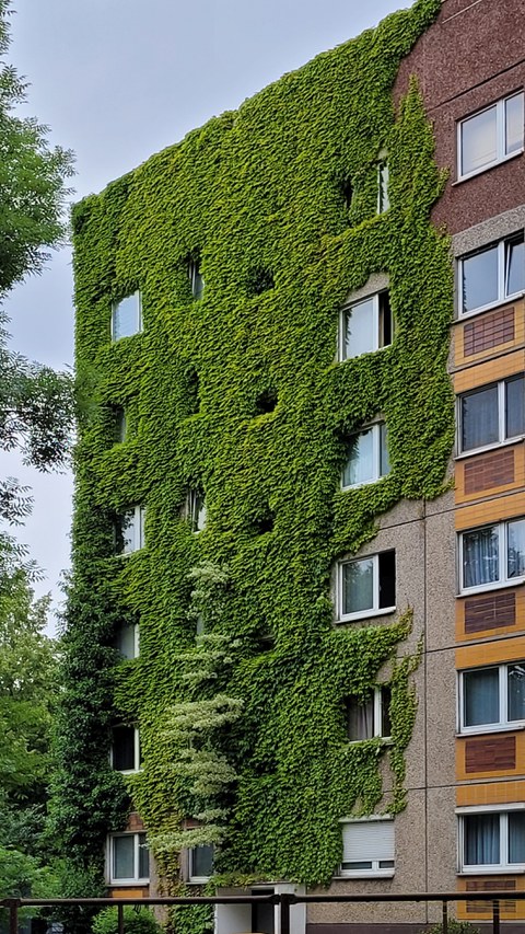 Begrünte Häuserfassade