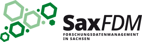 Logo SaxFDM