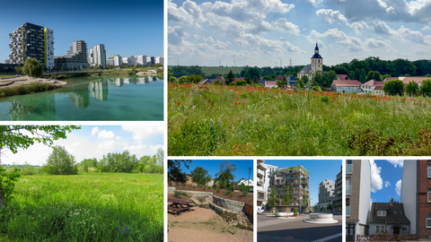 Collage Landmangement