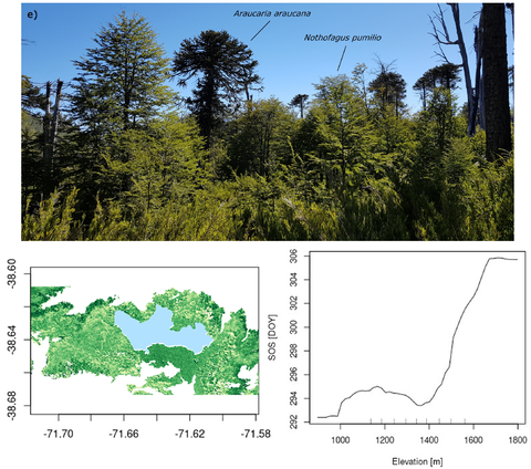 20220618_kosczor-etal_2.png