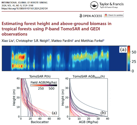 Estimating forest height and above-ground biomass in tropical forests using P-band TomoSAR and GEDI observations