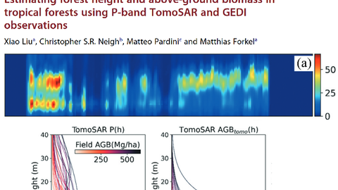 Estimating forest height and above-ground biomass in tropical forests using P-band TomoSAR and GEDI observations