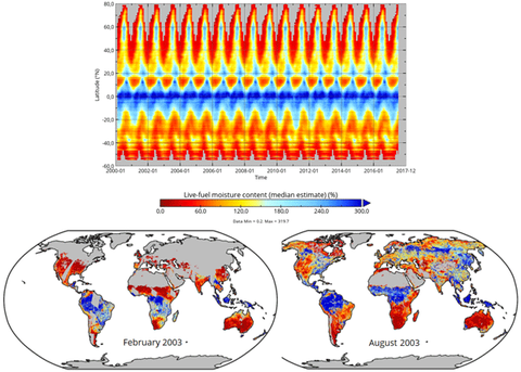 Global leaf moisture content