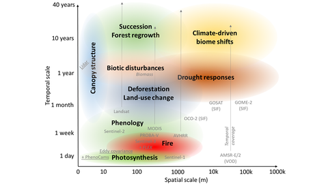 Spatial-temporal scales in environmental remote sensing