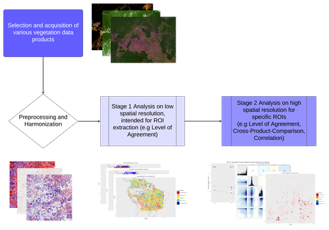 Graphical abstract