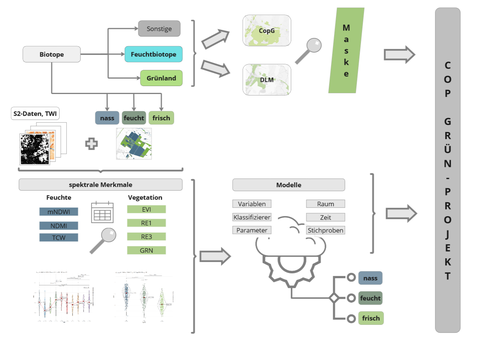 Workflow MA Feuchtgrünland