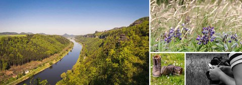 Bilder zur Region, Sächsisch-Böhmische Schweiz