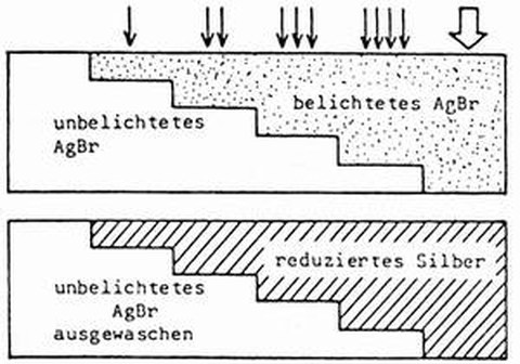 Abb 5-7: S-W-Negativprozeß (aus Kraus, 1988)