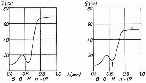 Abb.6-11: Veränderung der spektralen Signatur von Laubbaumblättern infolge Schädigung (aus Kraus, 1988)