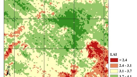 LAI-mapping