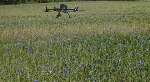 UAV in flowers