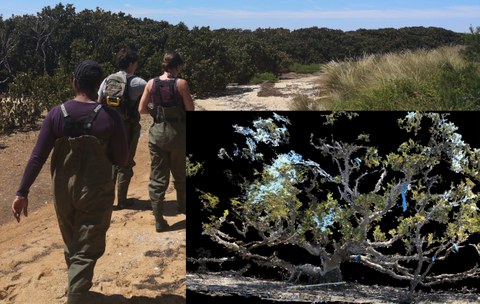 Capturing data in the field
