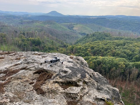 Böhmische Schweiz und Sächsische Schweiz Landeschaftsfoto