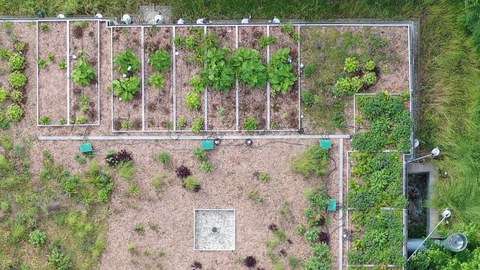 roof top with different vegetation plots