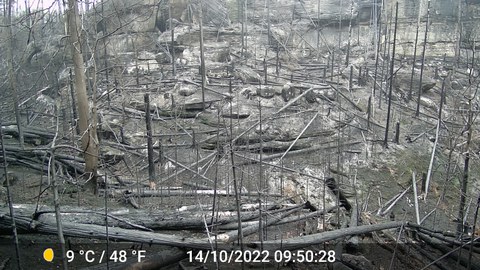 Richterschluechte Post Wild Fire