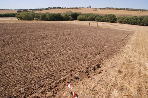 soil_erosion_andalusia