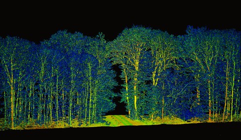 MLS point cloud