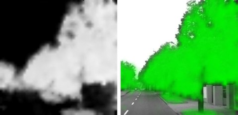 Abb. 3: unbearbeitetes NDVI Ergebnis mit Wertebereich 0 - 1 (links) und mit NDVI überlagertes SW-Bild der gleichen Szene (rechts)