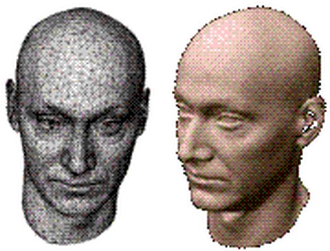 3D- Modell eines Kopfes für Anwendungen in der Computeranimation