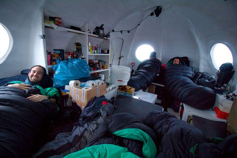 Sleeping-in-the-Tomato