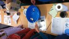 Schüler*innenexperiment zu Ölverschmutzungen