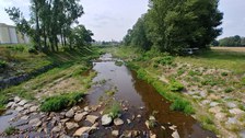 Mündung der Müglitz bei Niedrigwasser: Steine und Gewässerrand liegen trocken